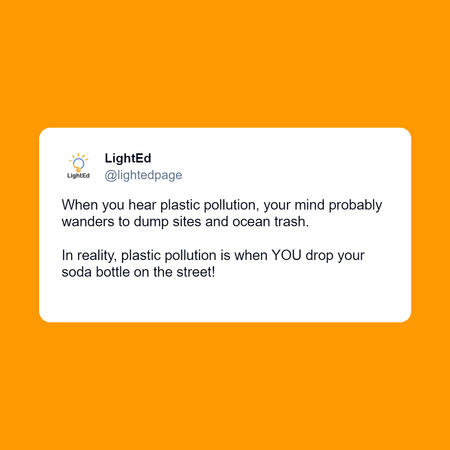 What is Plastic Pollution in Reality