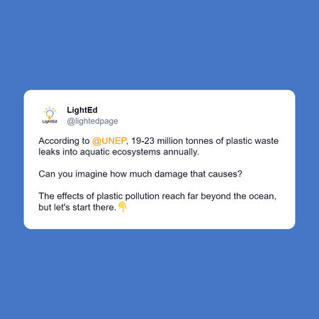 Plastic Pollution Effects